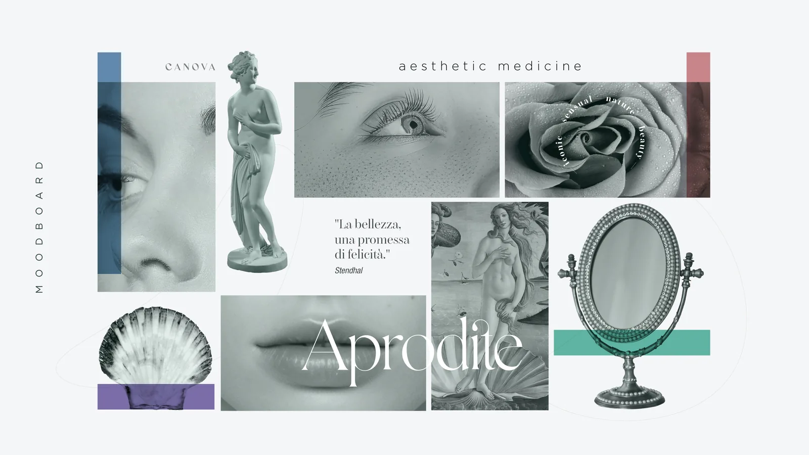 Moodboard, Canova, il volto, la rosa e lo specchio