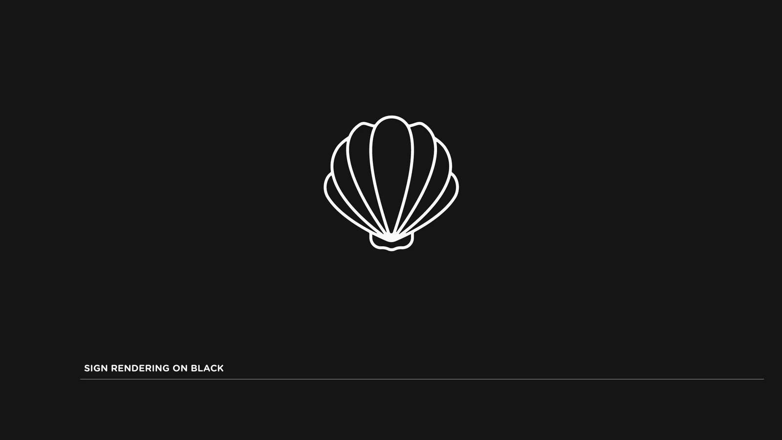 La conchiglia su fondo nero
