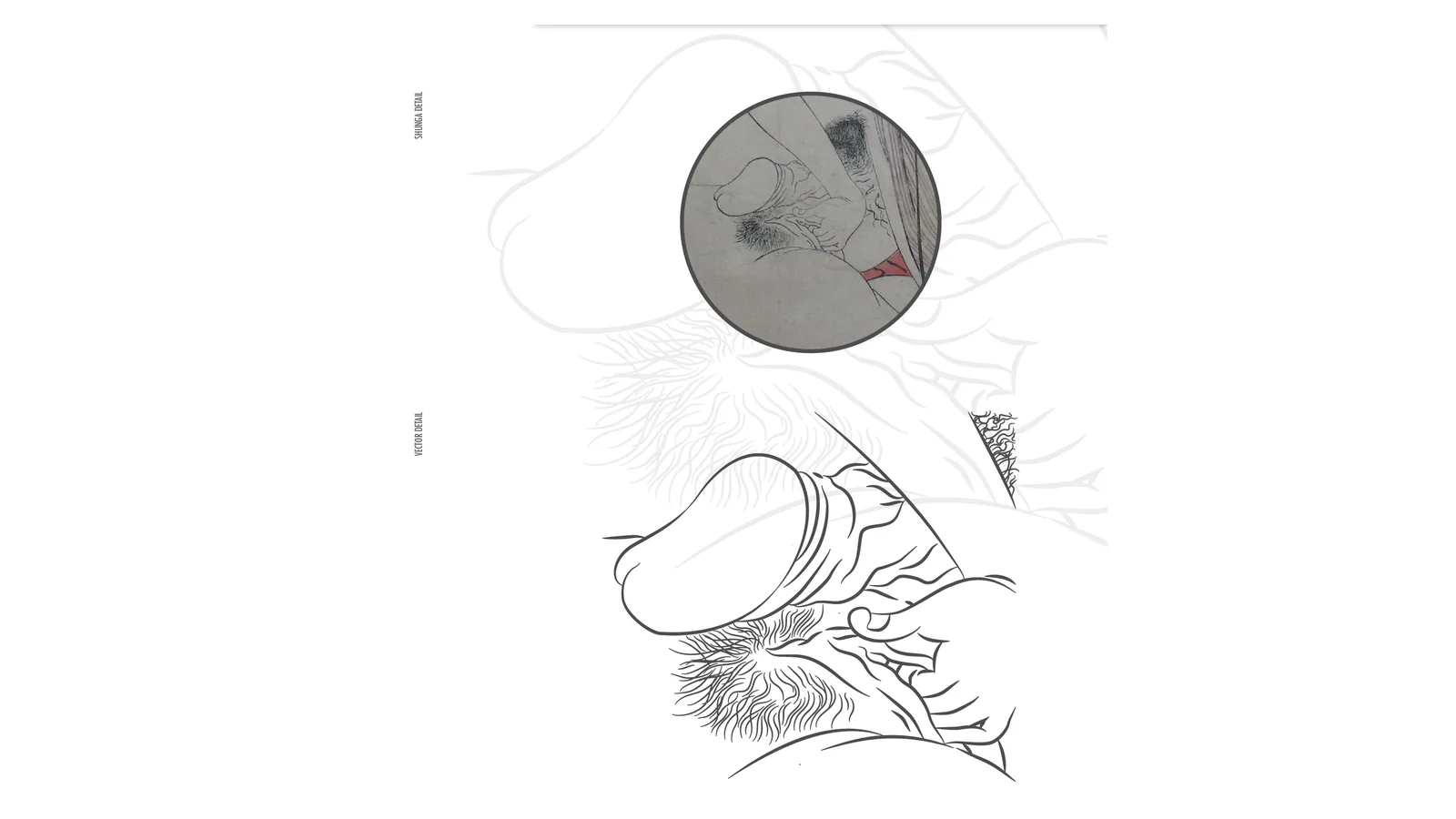 Il disegno al tratto ricavato dalla stampa